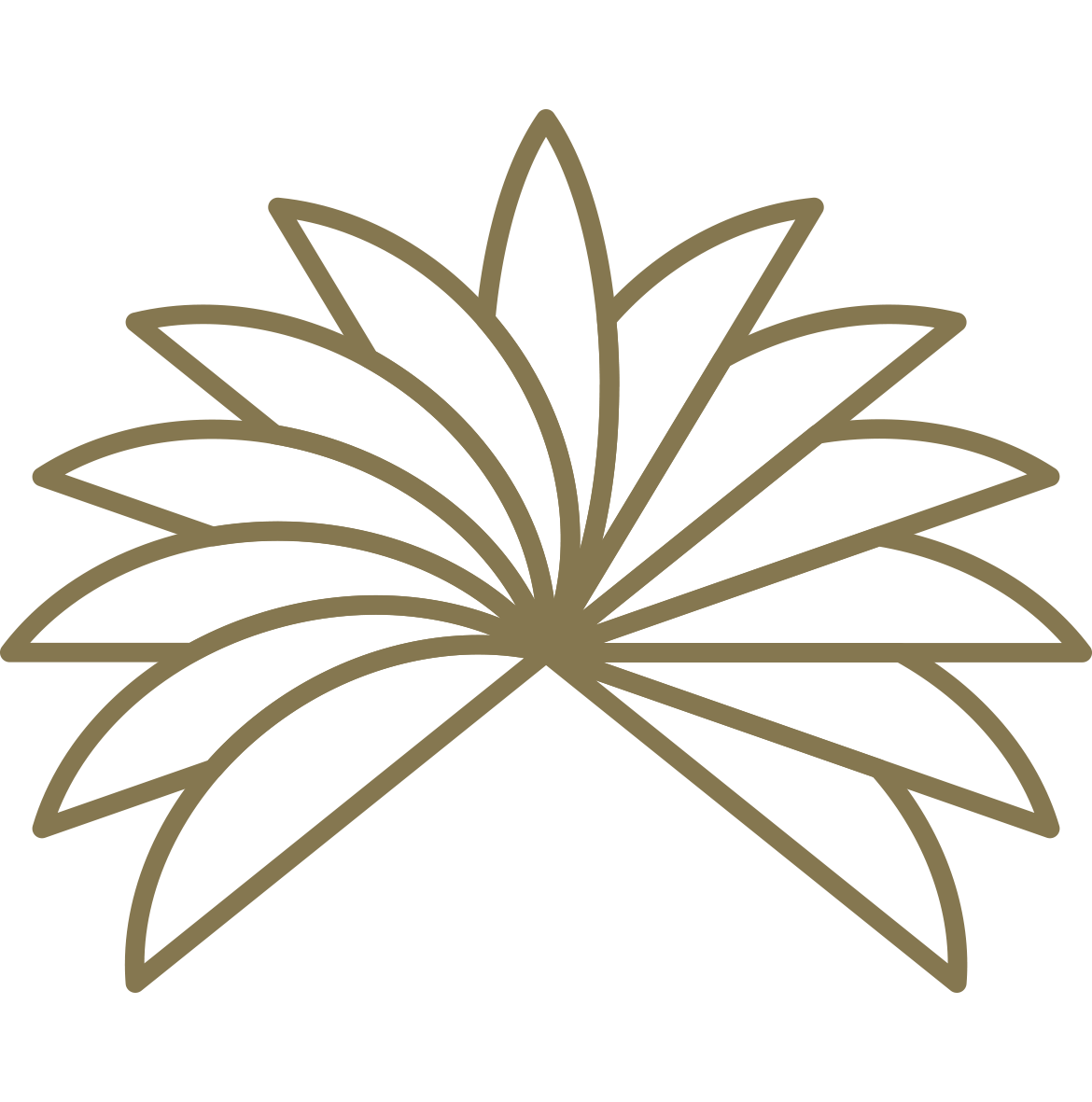palm tree